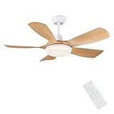 Newday Ventilateur de Plafond avec