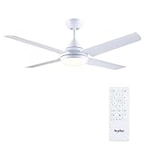 Newday CM Ventilateur de Plafond